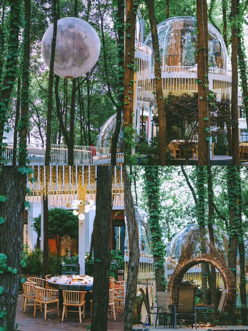 二荆条城市森林火锅星空房